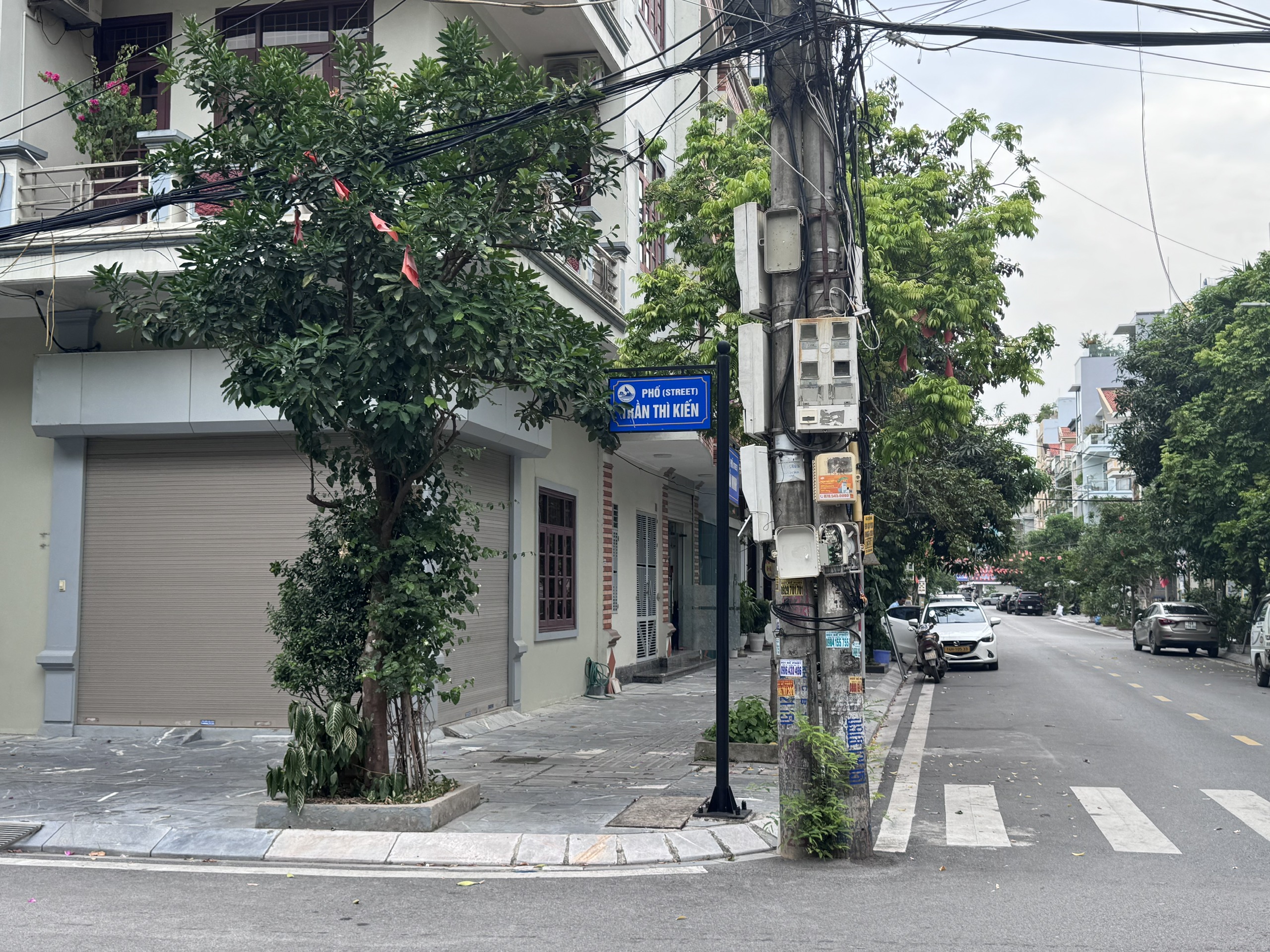 Phố Trần Thì Kiến