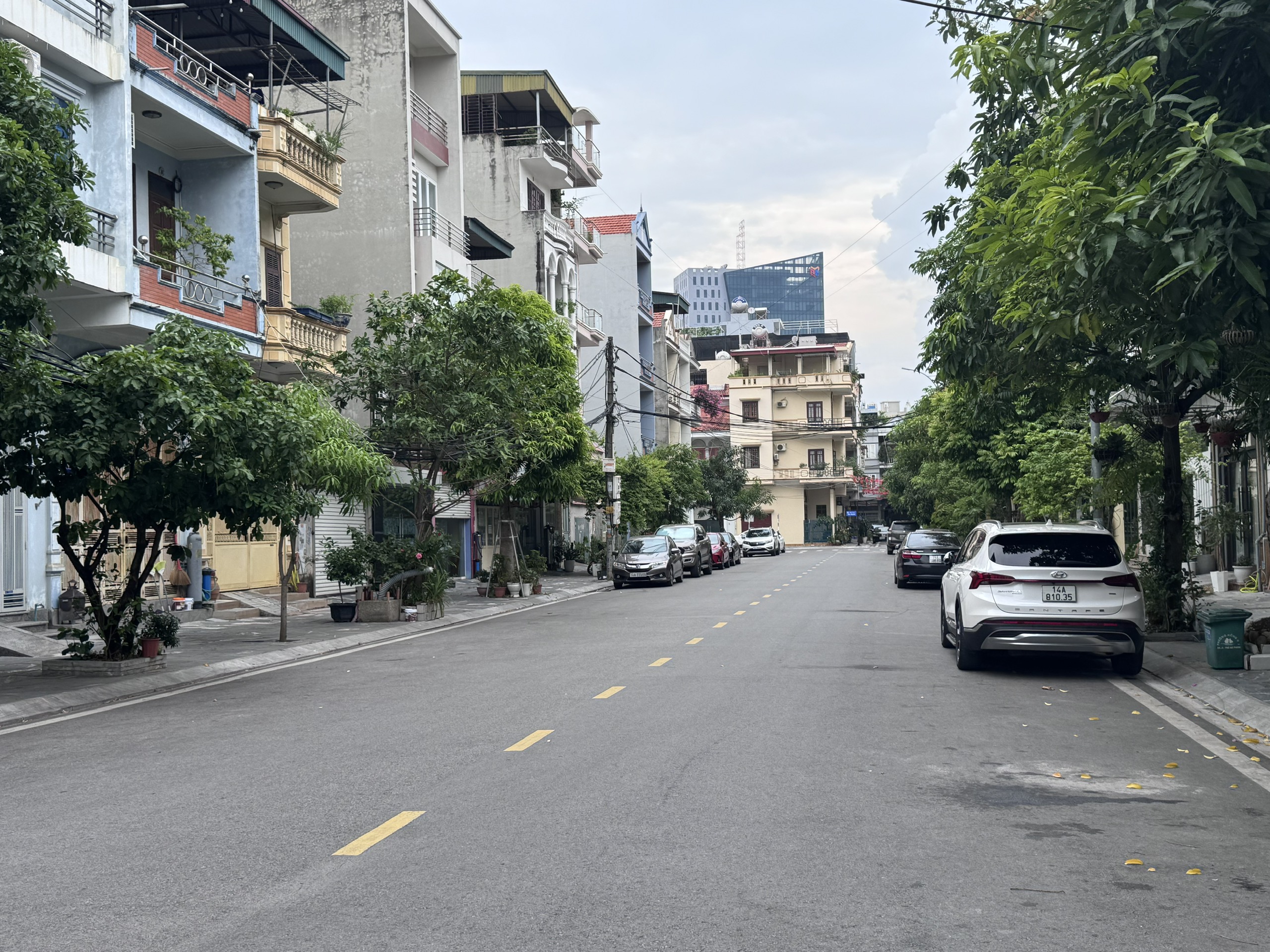 Phố Trần Thì Kiến