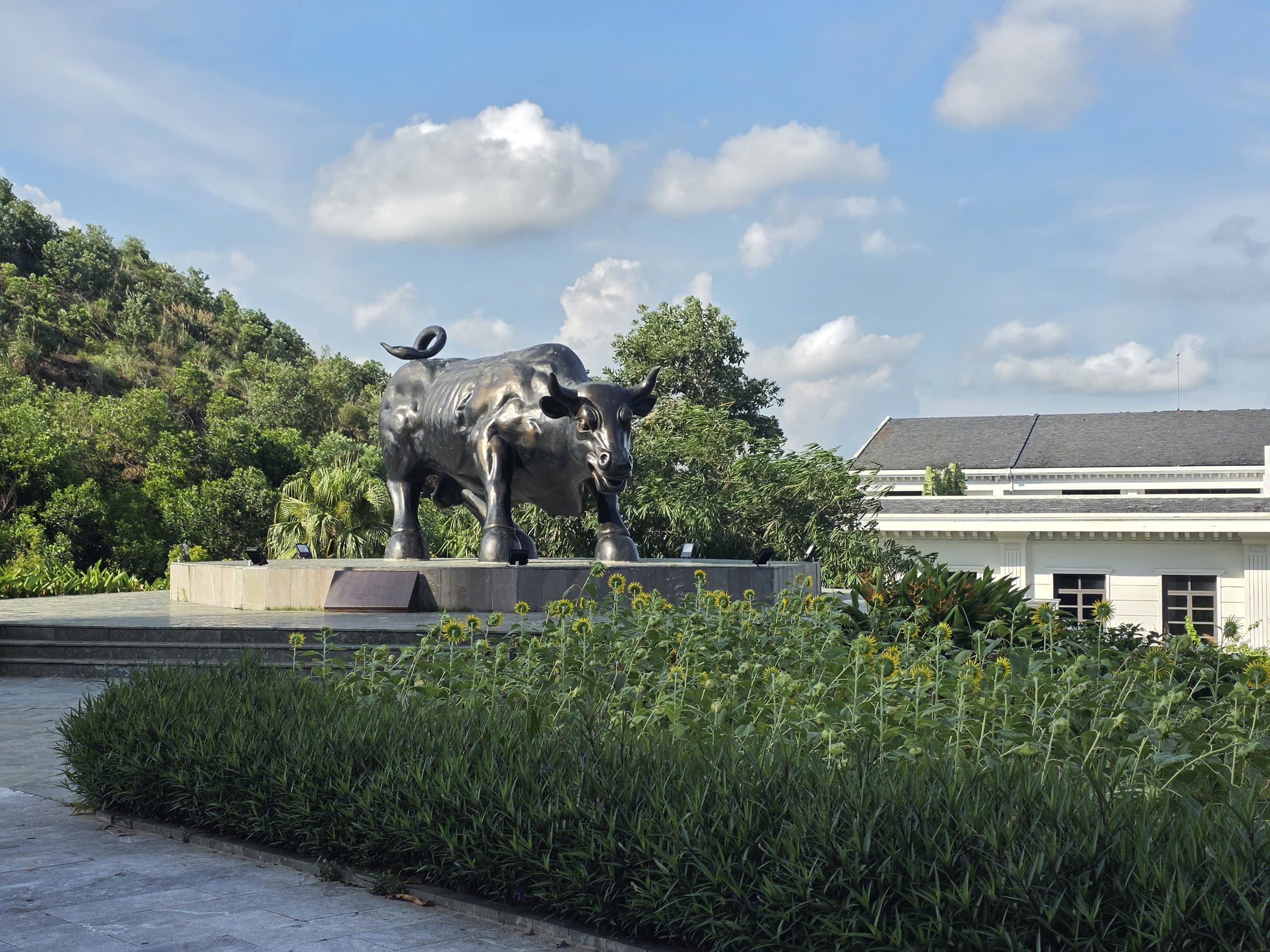FLC Hạ Long