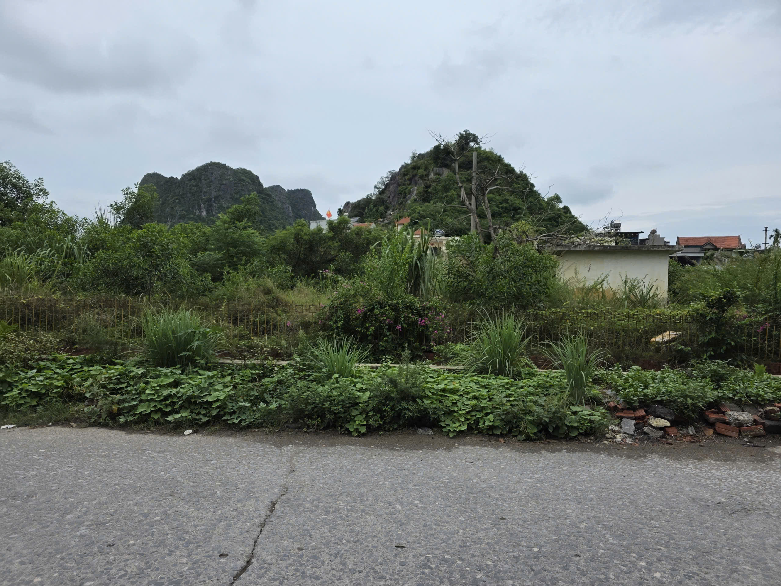 Tuyến đường phố Đặng Thùy Châm