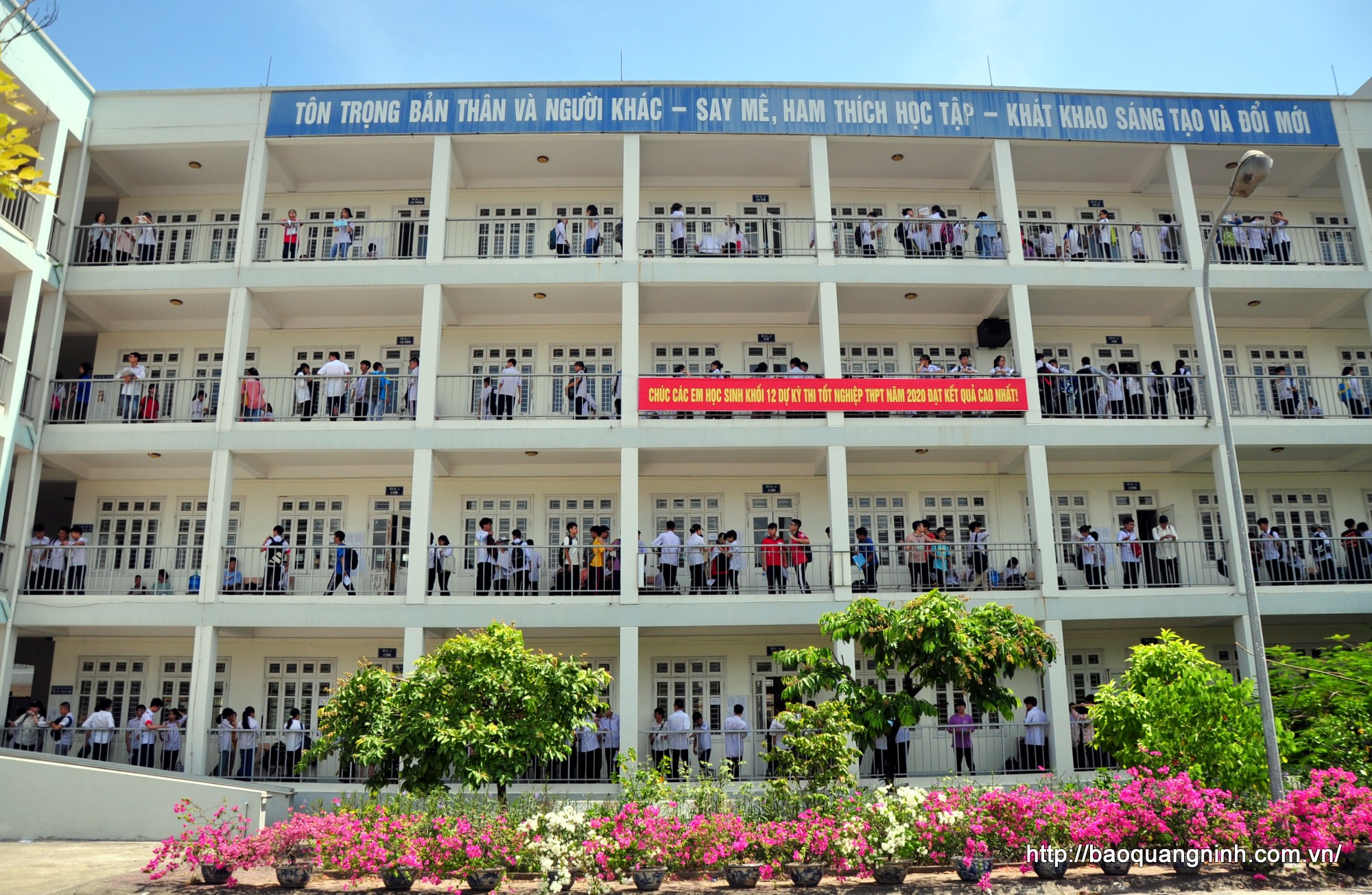 THPT Chuyên Hạ Long